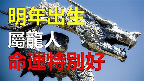 2024龍寶寶好嗎|錯過後悔！龍寶寶優勢